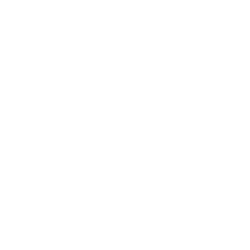 “Schlotzsky’s