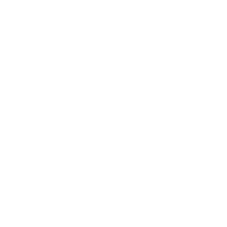 “Web